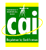 Confederation of Aerial Industries